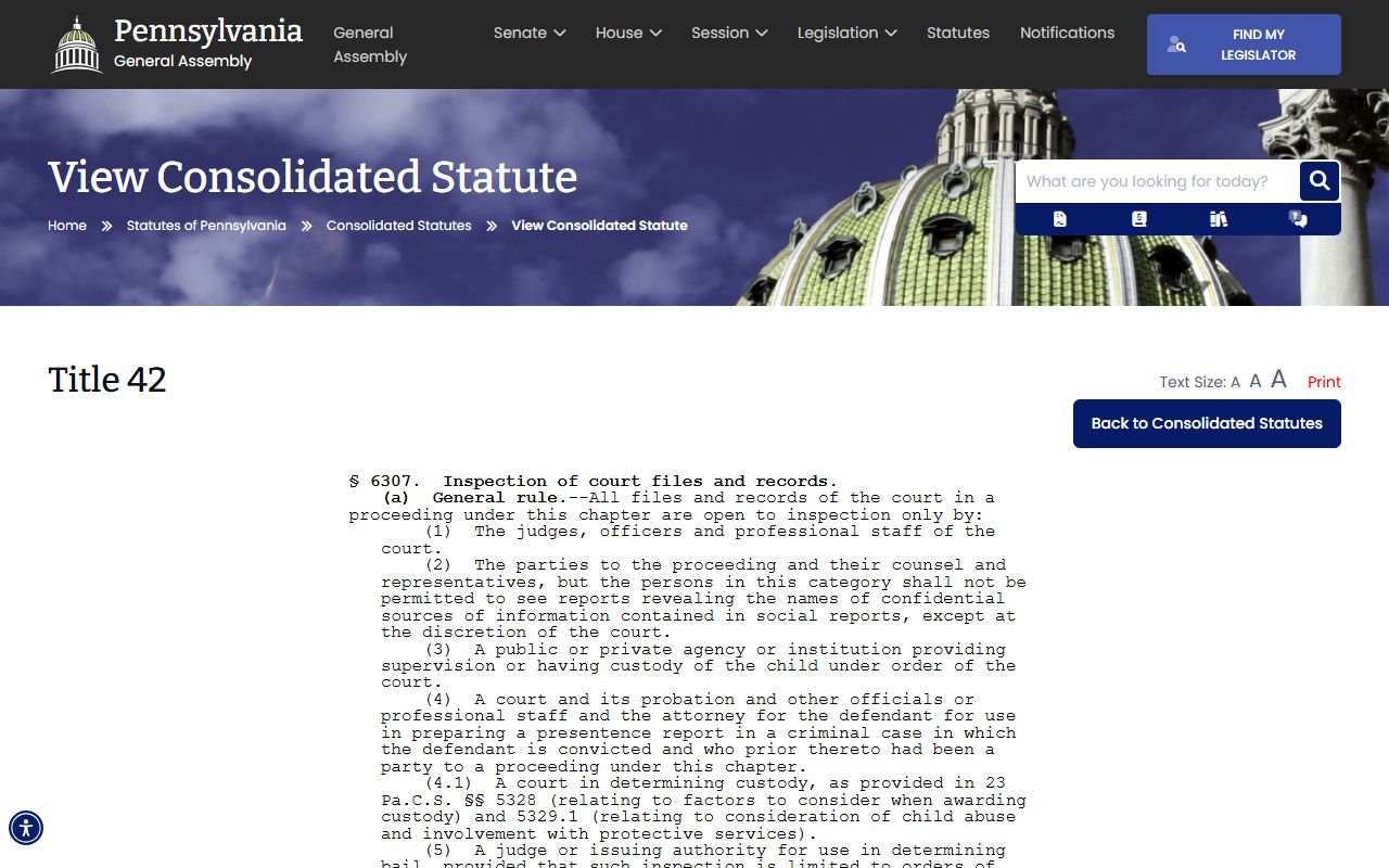 Montour County court records juvenile court file inspection statute